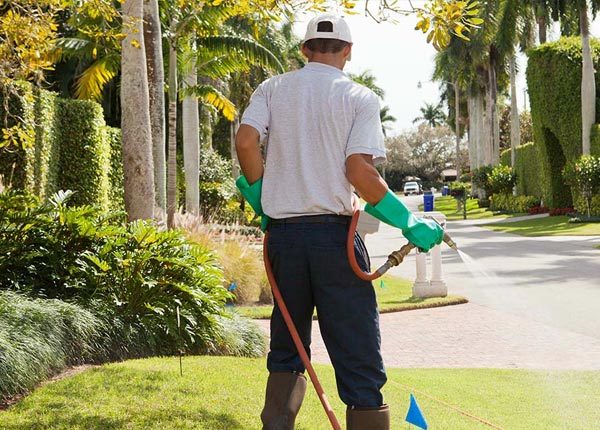 About Arvada WY Pest Control